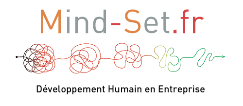 Logo Mind-Set.fr